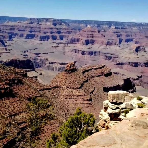 Meet your Posher - Picture 5 of 5